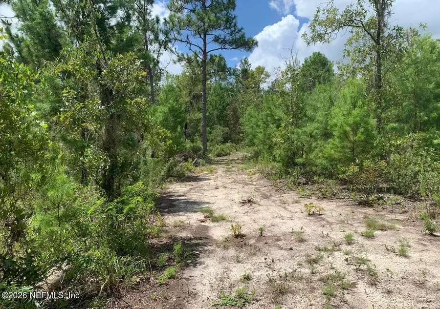 403 Lily Trail, Interlachen, FL 32148 - #3
