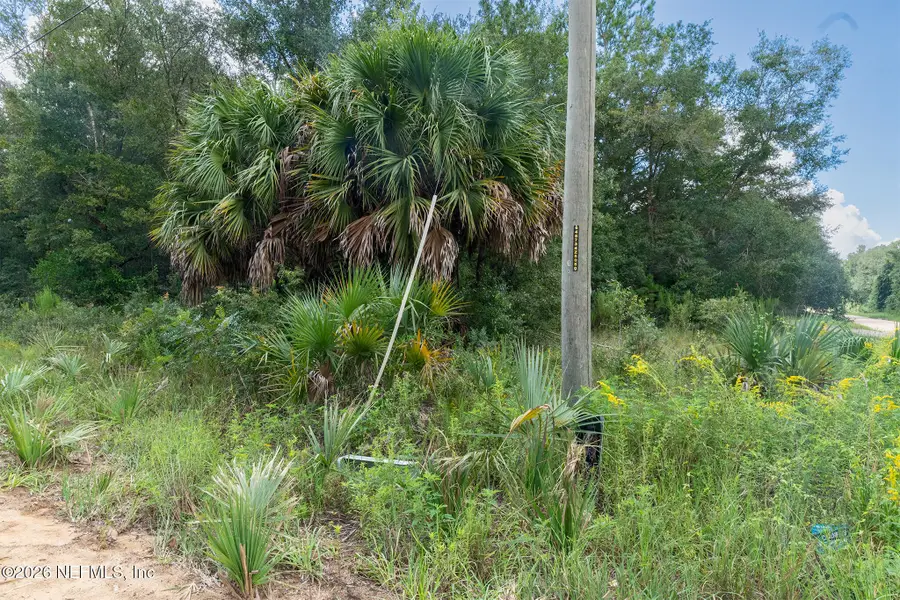 0010 Kin Street, Interlachen, FL 32148 - #2