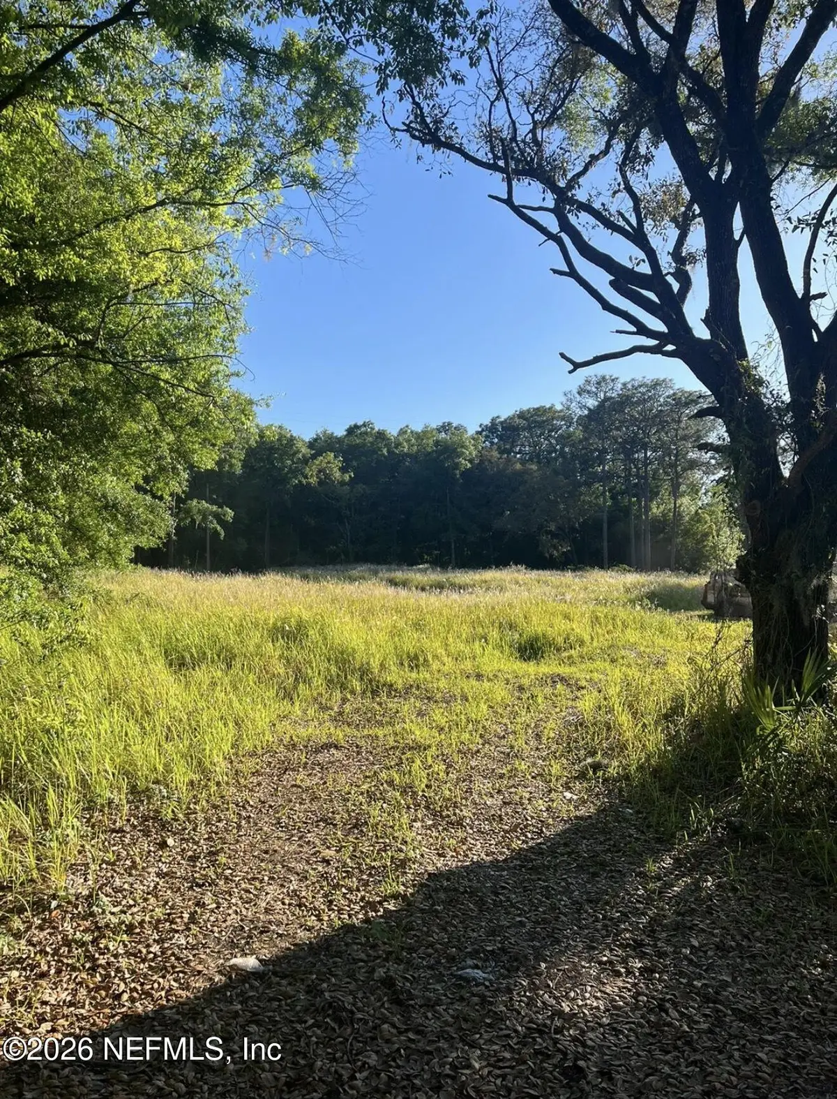 5210 SE 67th Avenue, Ocala, FL 34472 - #1