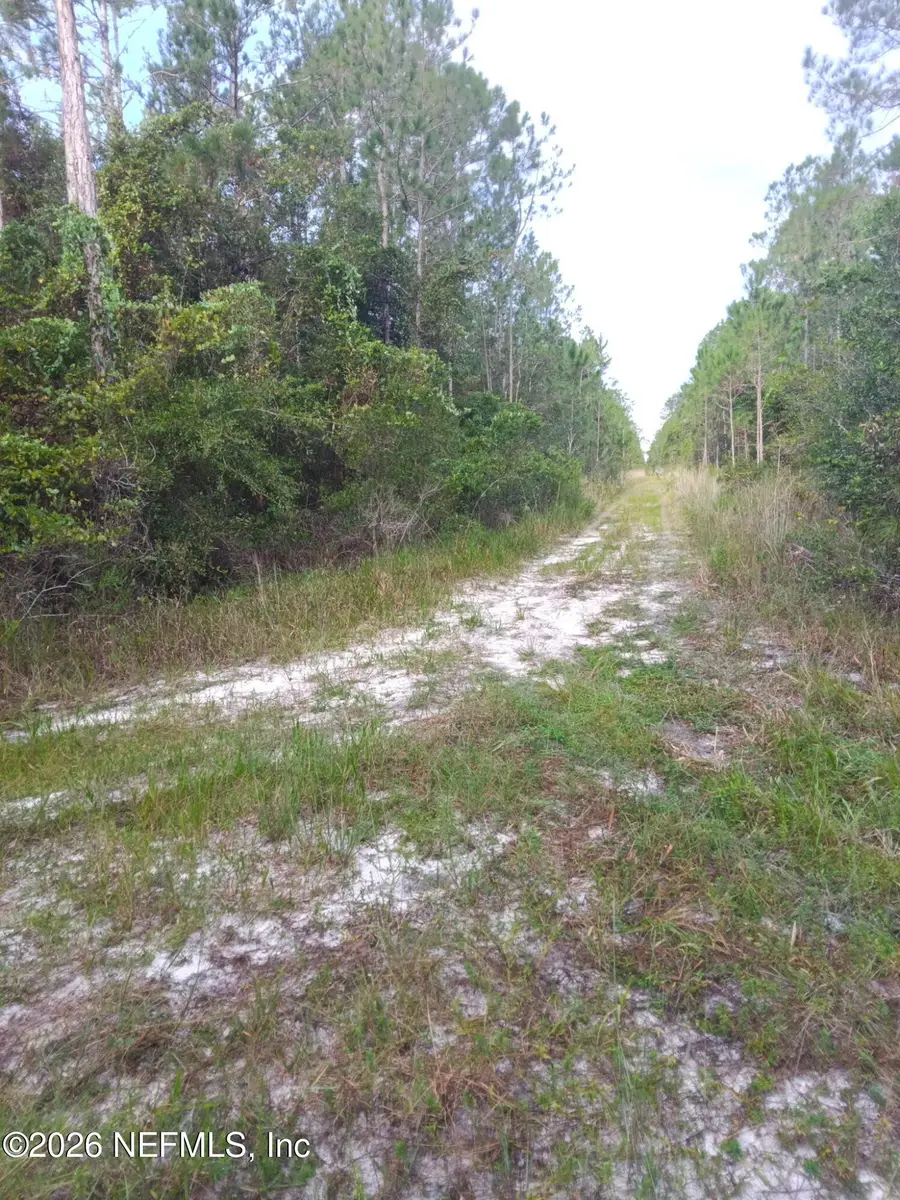 0 Amos, Hastings, FL 32145 - #2