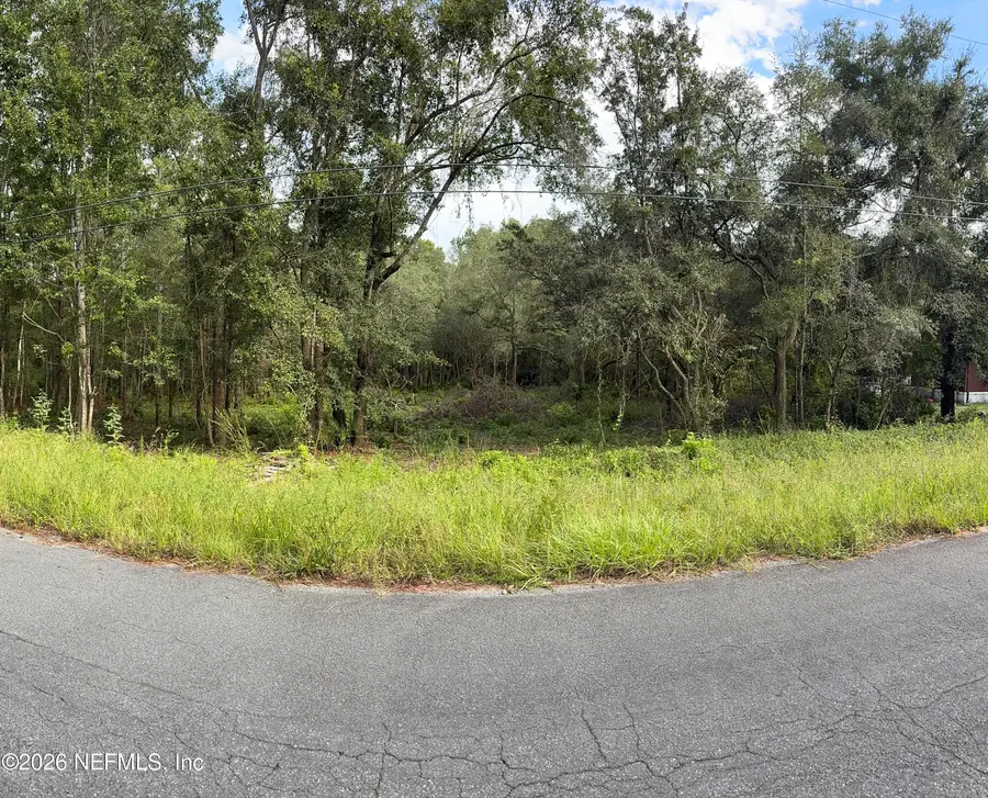 5235 Chicory Circle, Middleburg, FL 32068 - #3