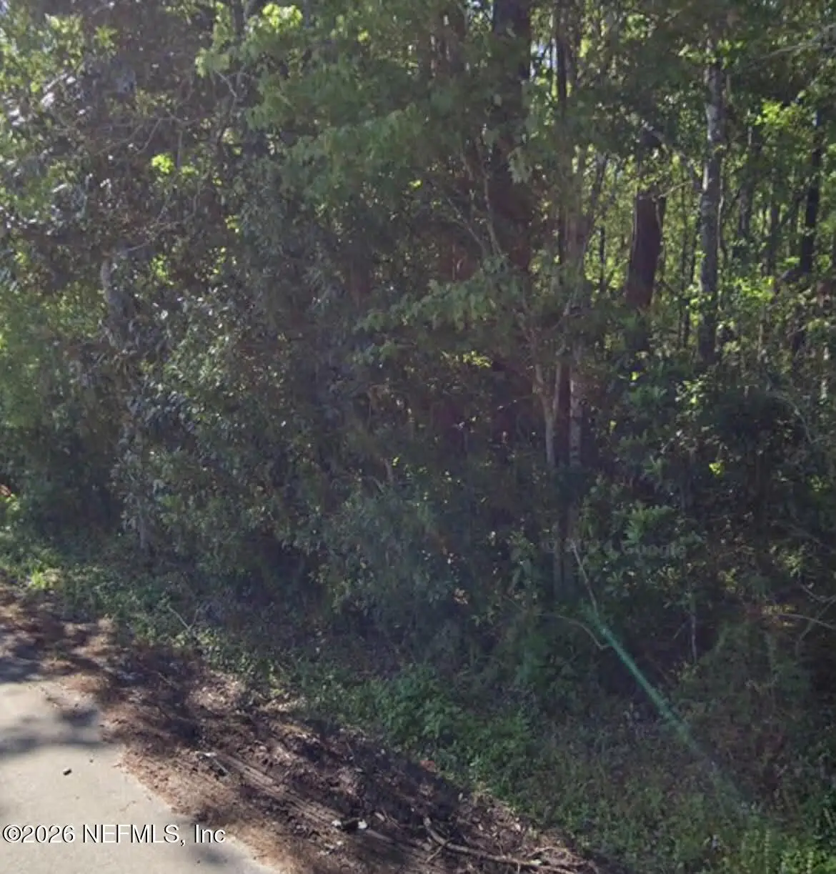 1124 Fleming Street, Fleming Island, FL 32003 - #1