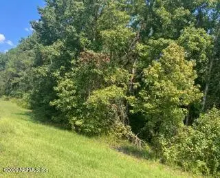 00 217 County Road, Middleburg, FL 32234 - #1
