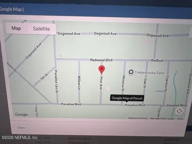 109 Pine Avenue, Georgetown, FL 32139 - #1