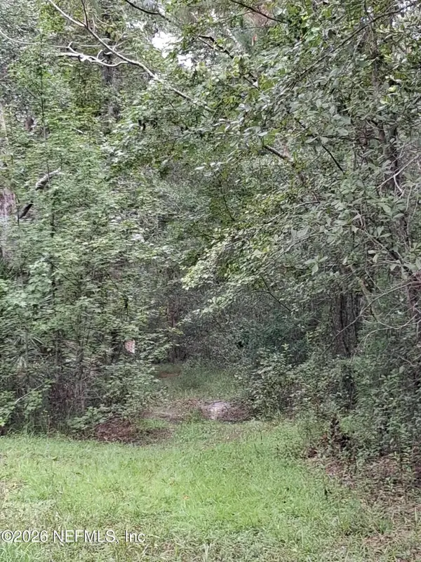 LOT 9 Skipper Road, Middleburg, FL 32068