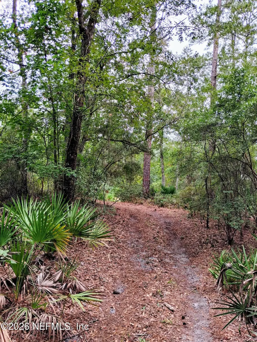 LOT 9 Skipper Road, Middleburg, FL 32068 - #3