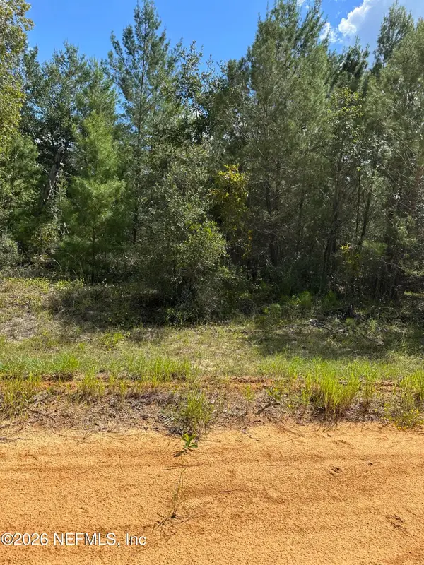 00 Gloria Ave, Interlachen, FL 32148