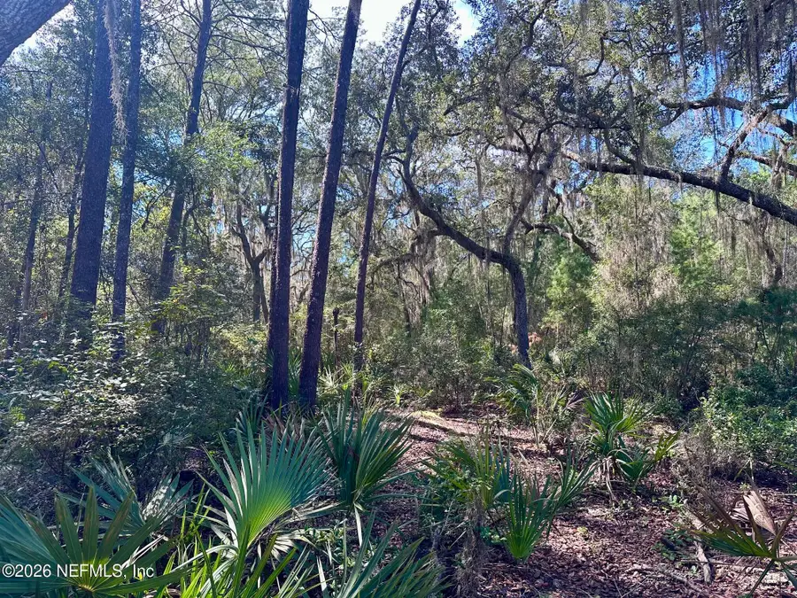 126 Browns Hammock Road, Crescent City, FL 32112 - #2