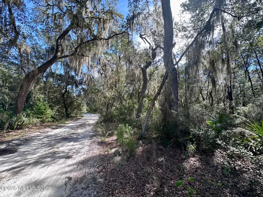 126 Browns Hammock Road, Crescent City, FL 32112 - #3