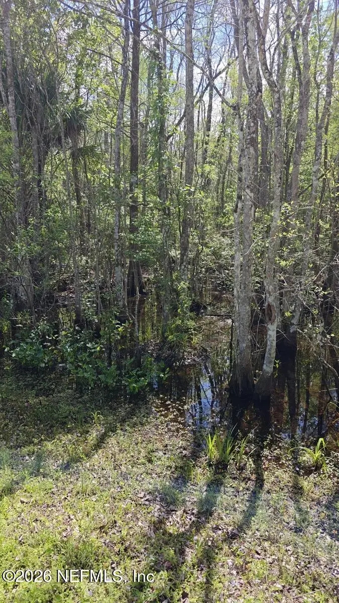 0 Thompson Bailey Road, Saint Augustine, FL 32084 - #3