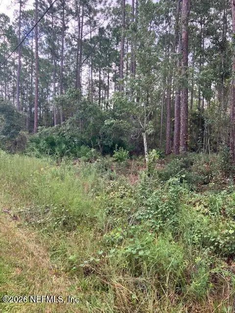 4515 Mahogany Boulevard, Bunnell, FL 32110 - #1