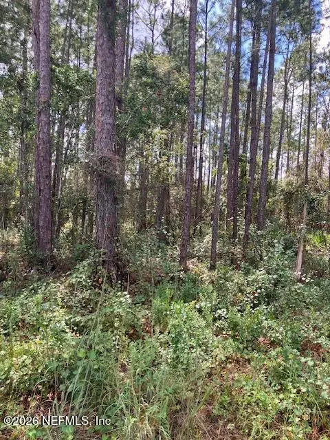 4515 Mahogany Boulevard, Bunnell, FL 32110 - #3