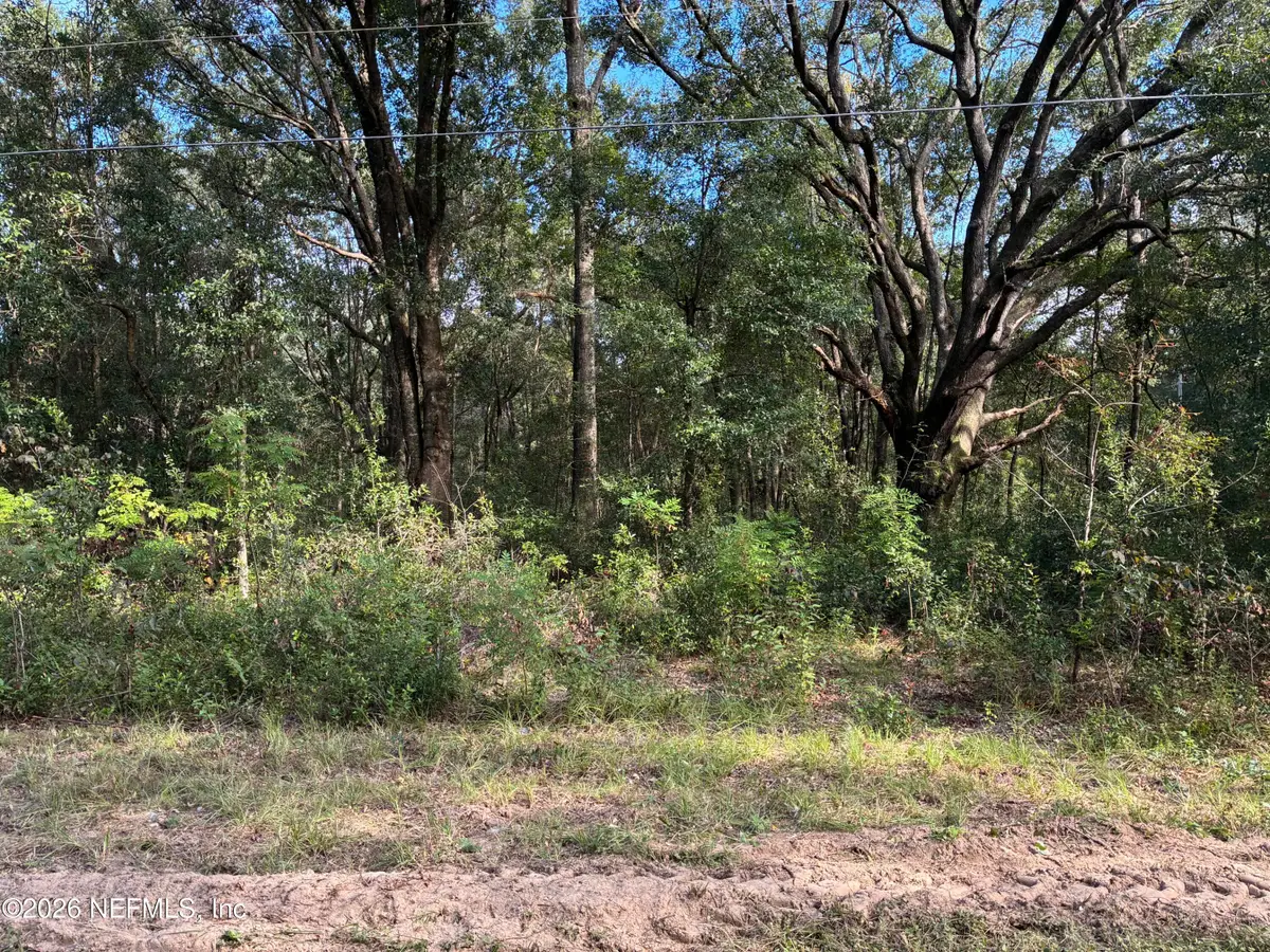 0 Debra Circle, Interlachen, FL 32148 - #1