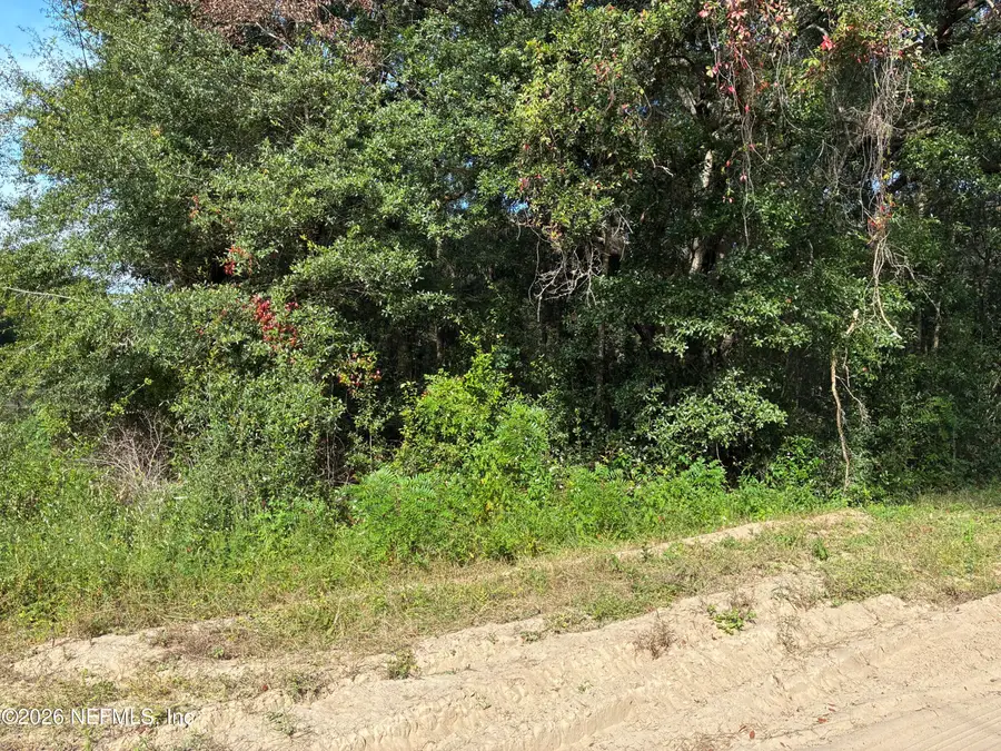 0 Debra Circle, Interlachen, FL 32148 - #2