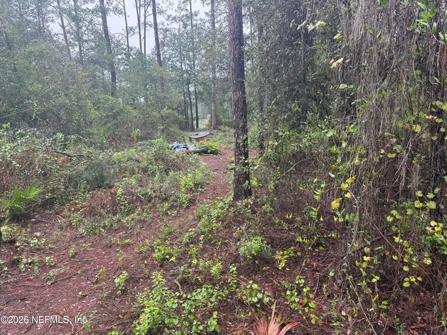 0 Boles Avenue, Interlachen, FL 32148 - #3