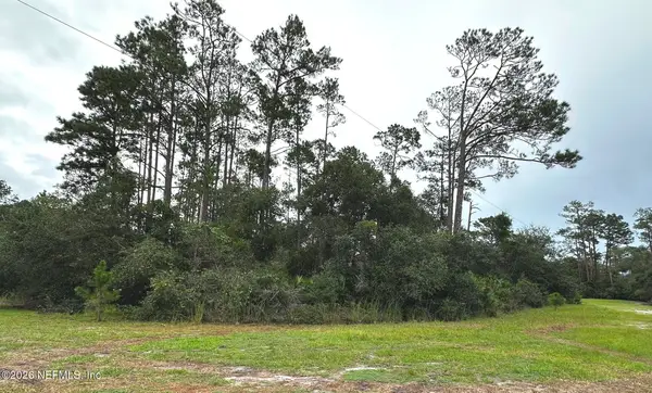 201 Tamarac Court, Georgetown, FL 32139