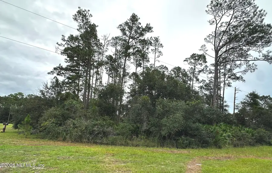 201 Tamarac Court, Georgetown, FL 32139 - #2
