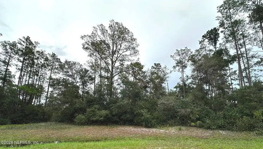 201 Tamarac Court, Georgetown, FL 32139 - #3
