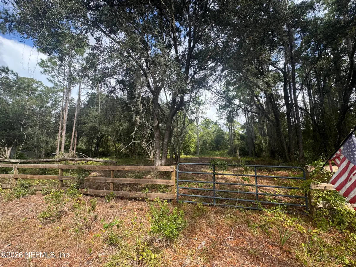 436 Rosewood Street, Georgetown, FL 32139 - #1