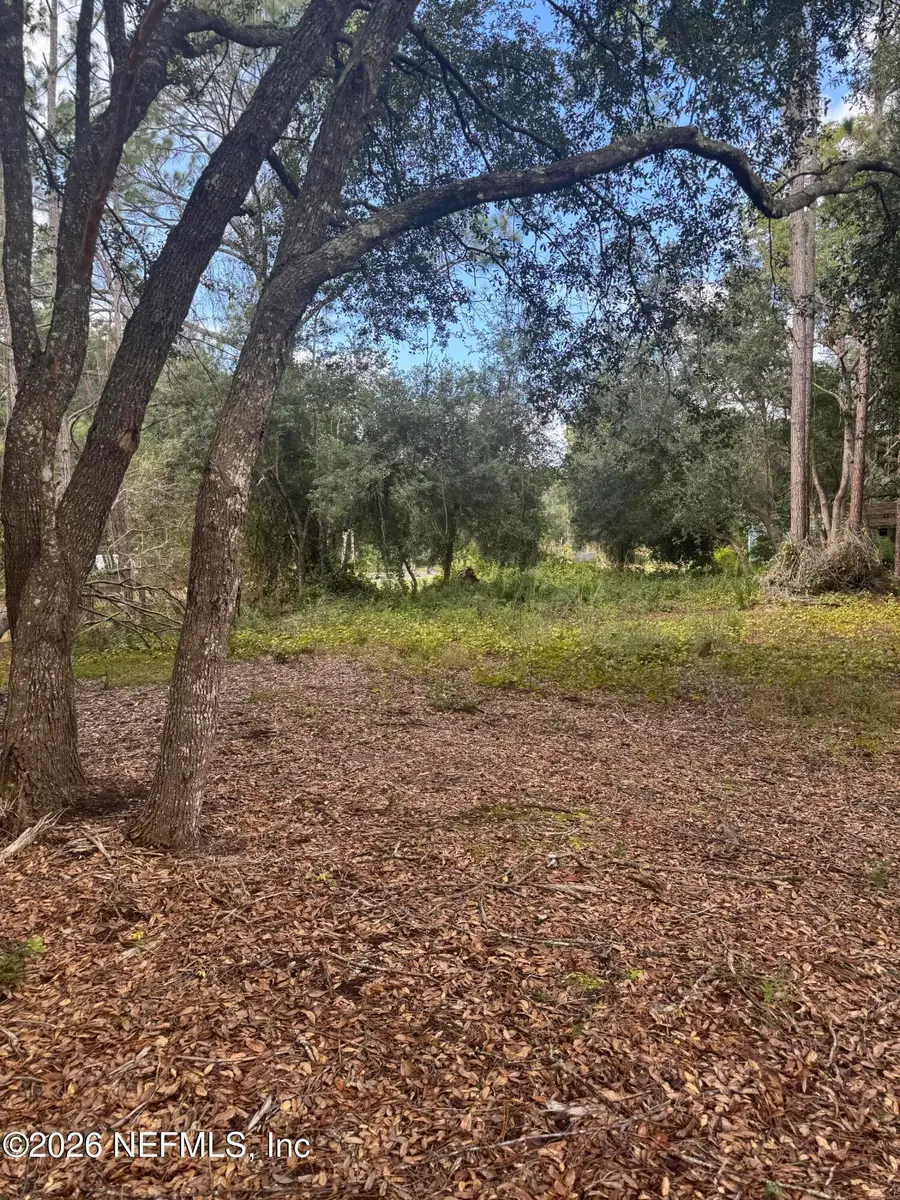 436 Rosewood Street, Georgetown, FL 32139 - #3