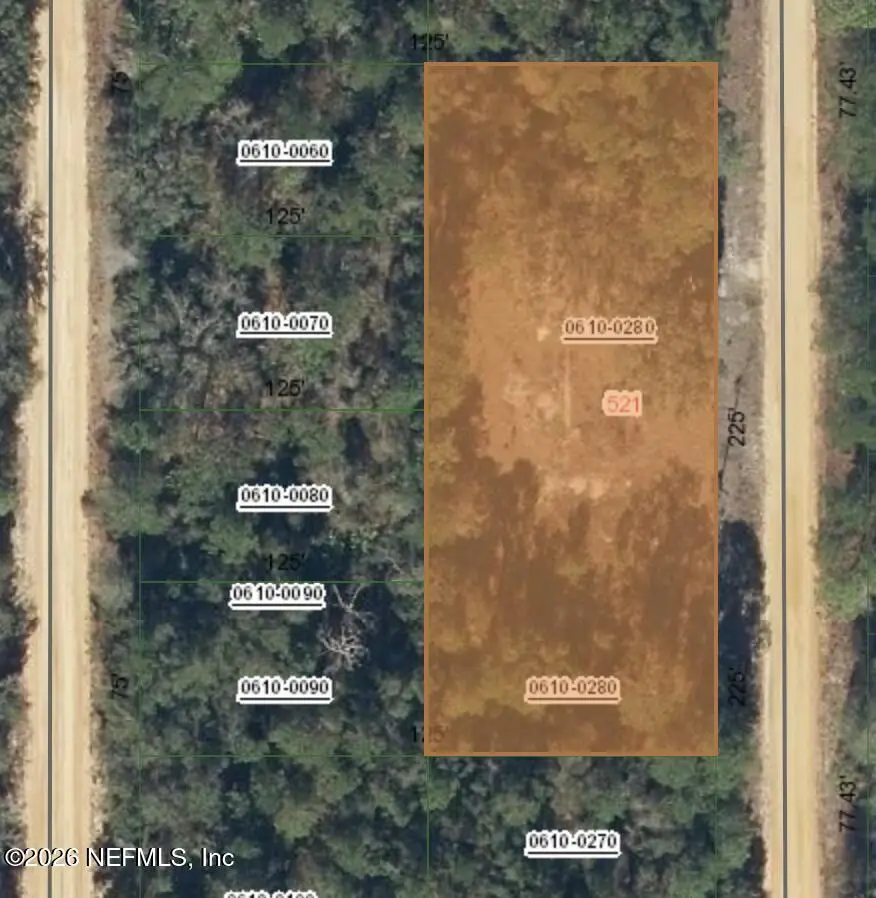 521 Creager, Interlachen, FL 32148 - #2