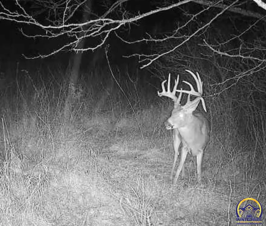 00000 O Rd, Mayetta, KS 66509 - Image #1