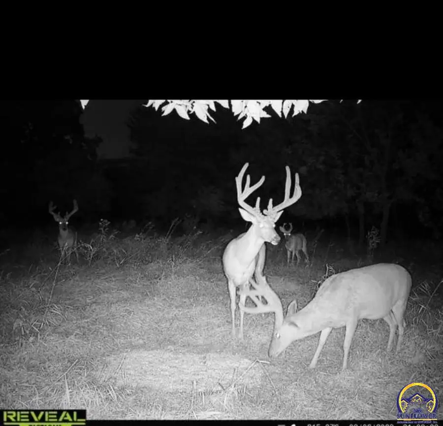 1357 SE Trefoil Rd, Burlington, KS 66839 - #2