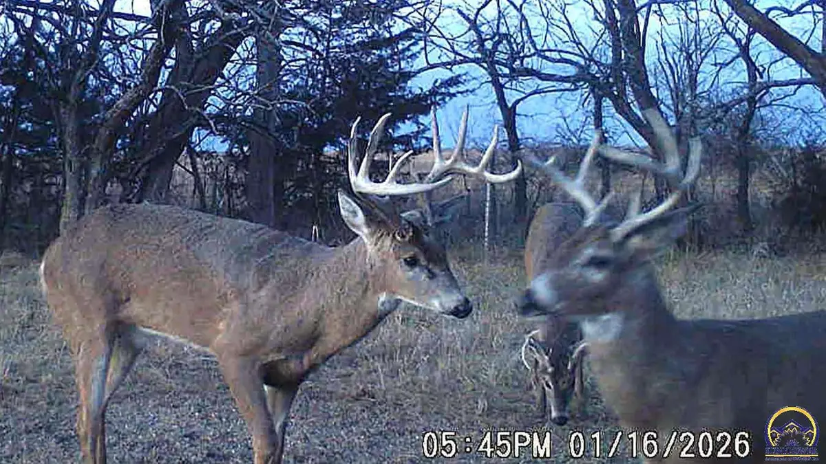 3175 Road P, Admire, KS 66830 - #1