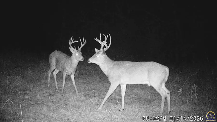 3178 Road P, Admire, KS 66830 - #2