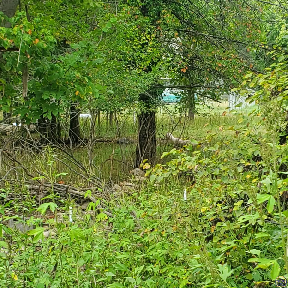 000 W 3rd St #3rd and Jefferson St., Lyndon, KS 66451 - #1