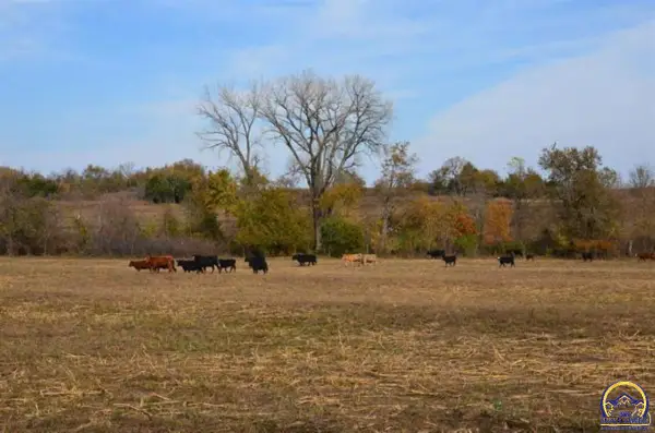 00000 S Berryton Rd, Lyndon, KS 66451-8834