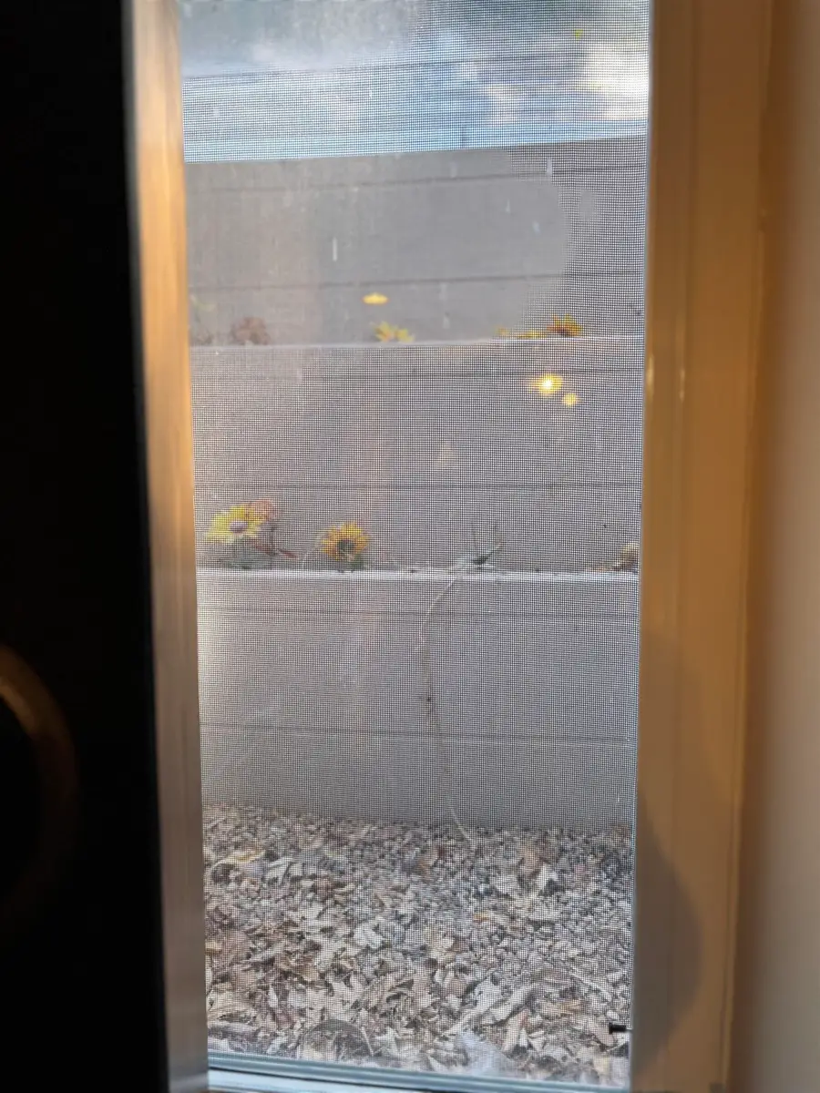 101 Alice Ave, Newton, KS 67114 - Image #3