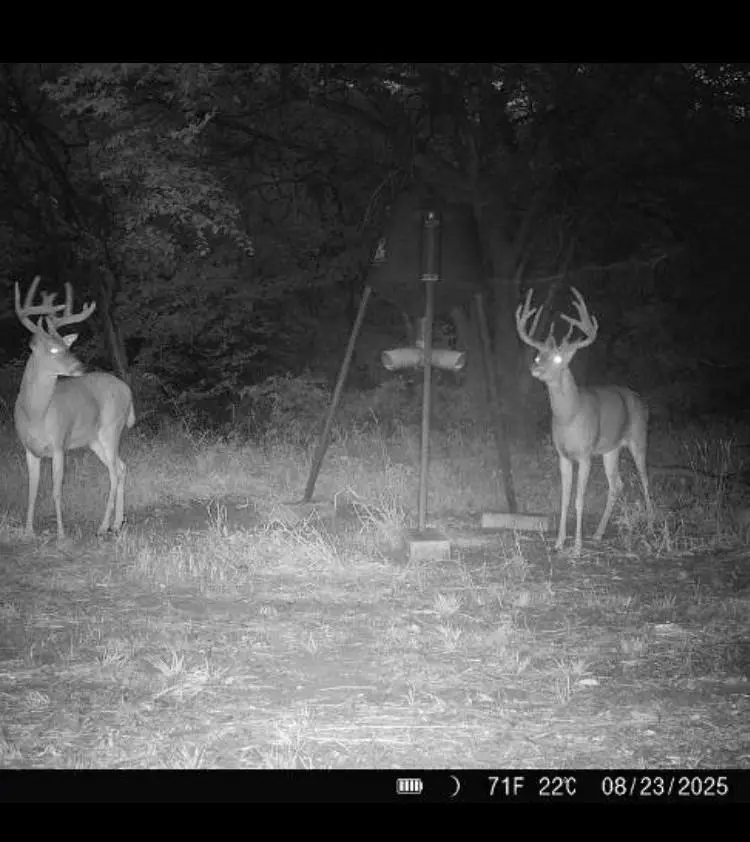 00000 19th Avenue, Lindsborg, KS 67456 - Image #2