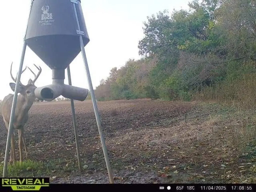 00000 S Lachland #2, Clearwater, KS 67026 - #1