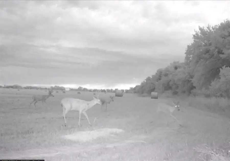 00000 S Lachland #3, Clearwater, KS 67026 - #3