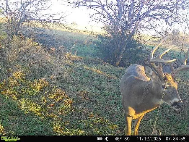 2000 R Avenue, Wilsey, KS 66873 - #2