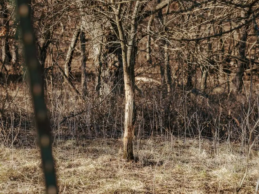 0000 202nd Rd, Cedar Vale, KS 67024 - #2