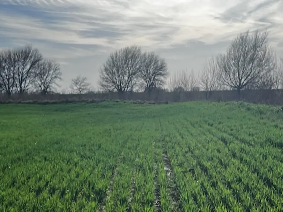 00000 NW 30th, Harper, KS 67058 - #2