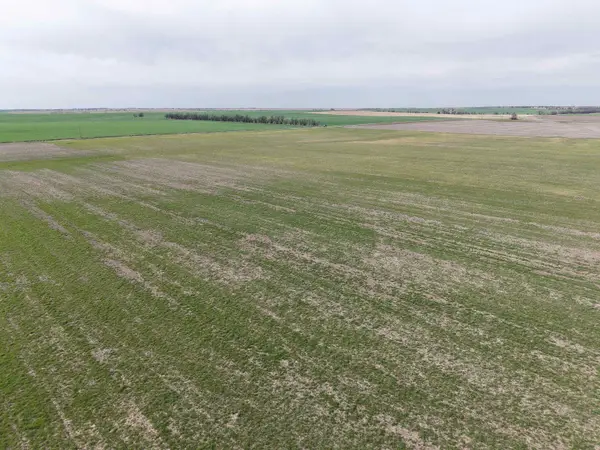 00000 Buffalo Road, Solomon, KS 67480