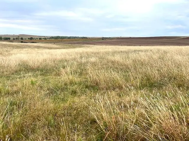 00000 N 80th Rd, Sylvan Grove, KS 67481 - #3