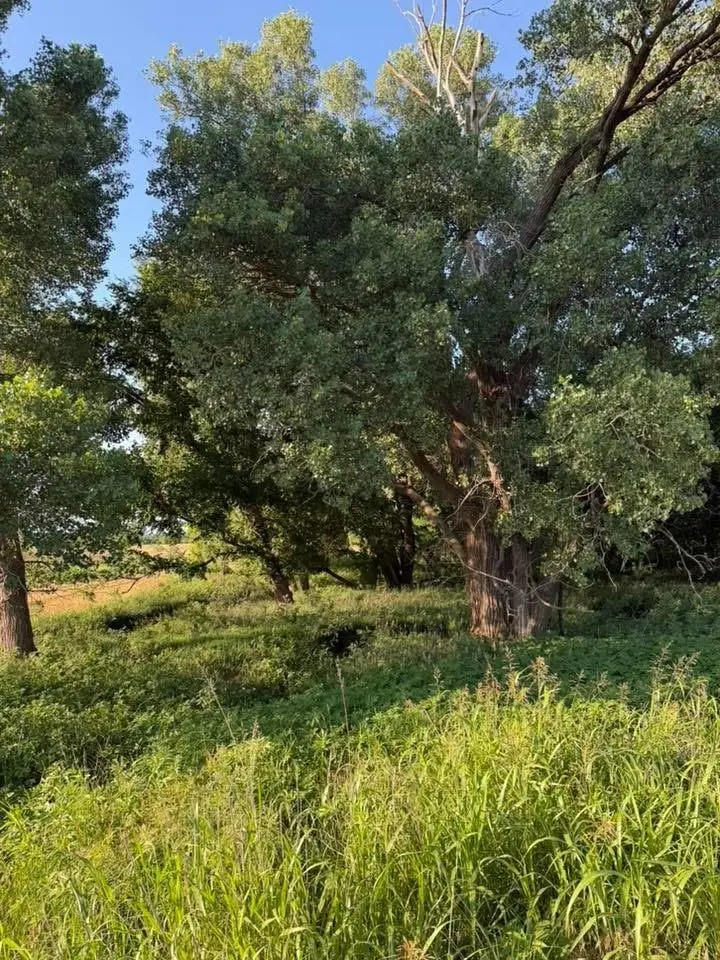 0 SE 170th St, Spivey, KS 67142 - #3