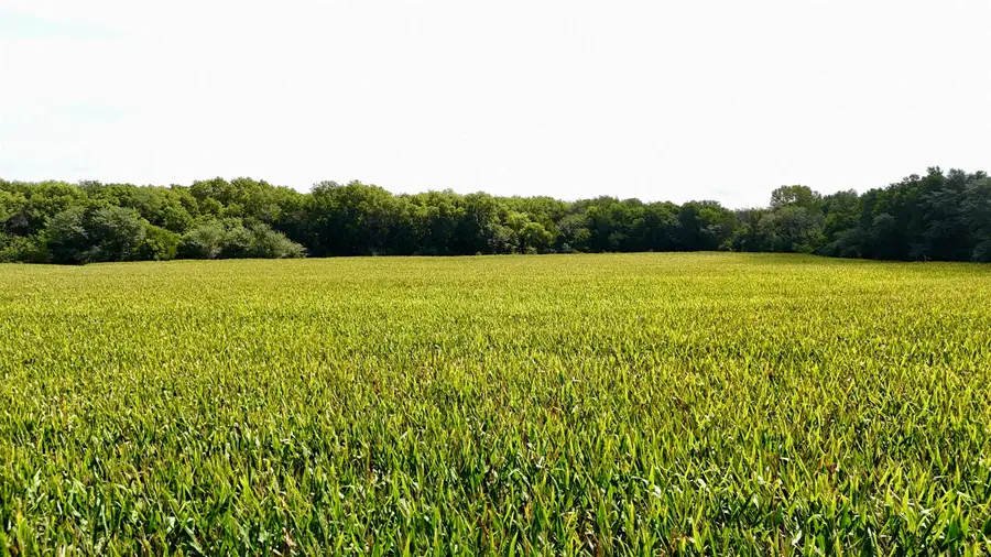 NE/c of NW Hoch Rd & Nw 86th St - Tract 3, Silver Lake, KS 66539 - #2