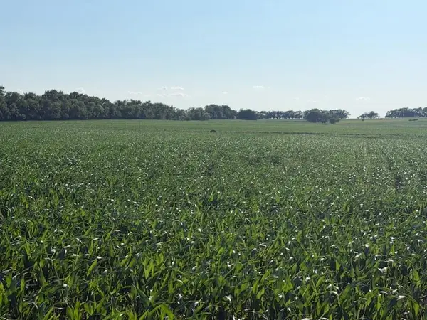 1100 Blk Trail Rd, Herington, KS 67449