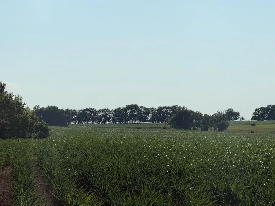 1100 Blk Trail Rd, Herington, KS 67449 - #2