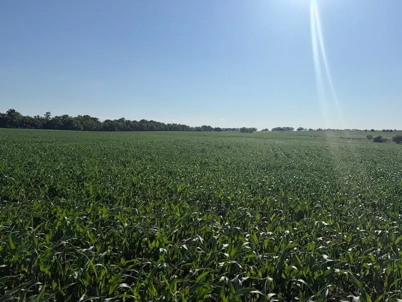 1100 Blk Trail Rd, Herington, KS 67449 - #3