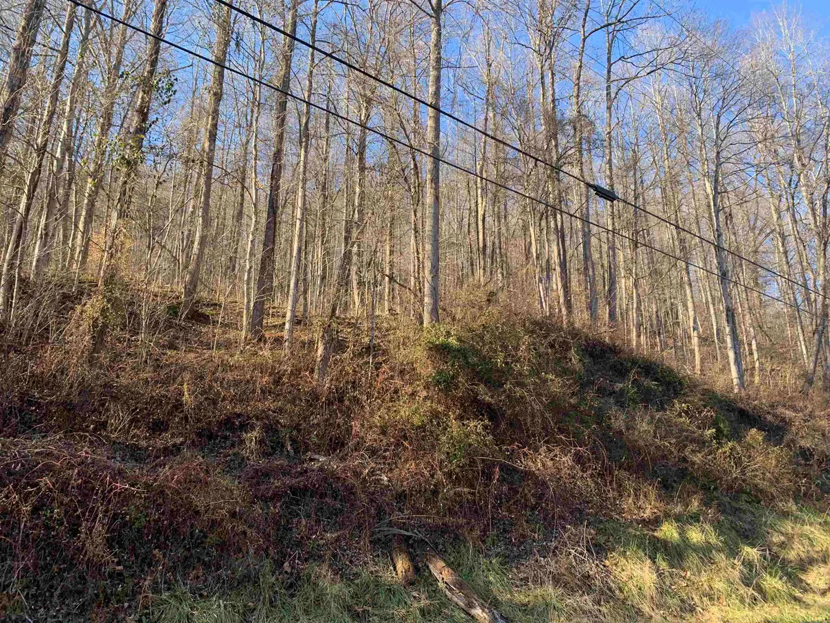 0 S HIGHWAY 3, Louisa, KY 41230 - #1