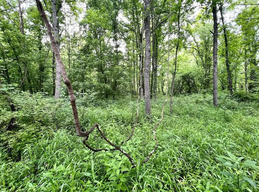 22250 Kentucky 3, Rush, KY 41168 - #3