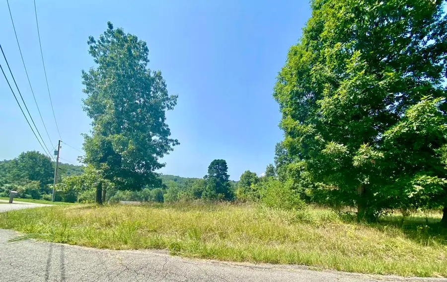 0 Hammer Mill Road, Wurtland, KY 41144 - #3