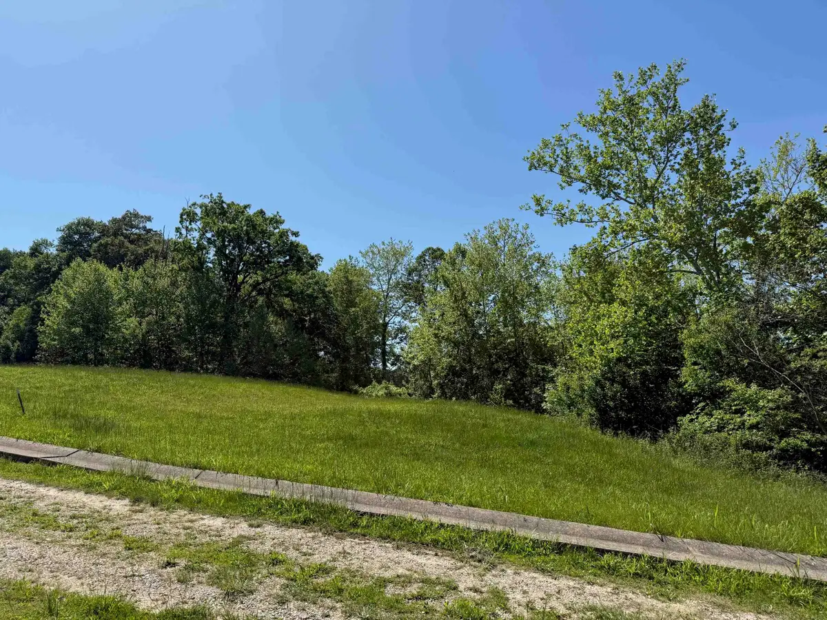 Lot #14 Meadow Glen Road, Flatwoods, KY 41139 - #1