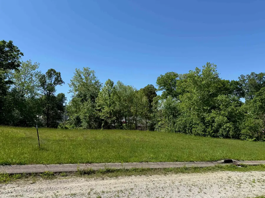 Lot #15 Meadow Glen Road, Flatwoods, KY 41139 - #2